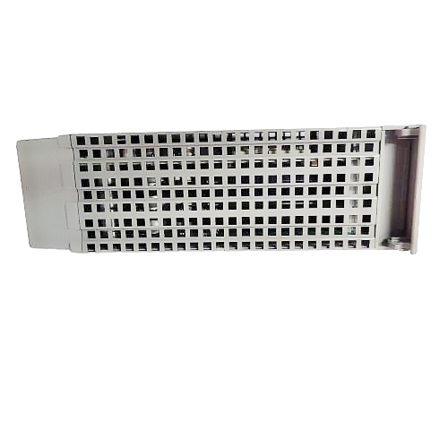 ICS TRIPLEX T8111C 模塊